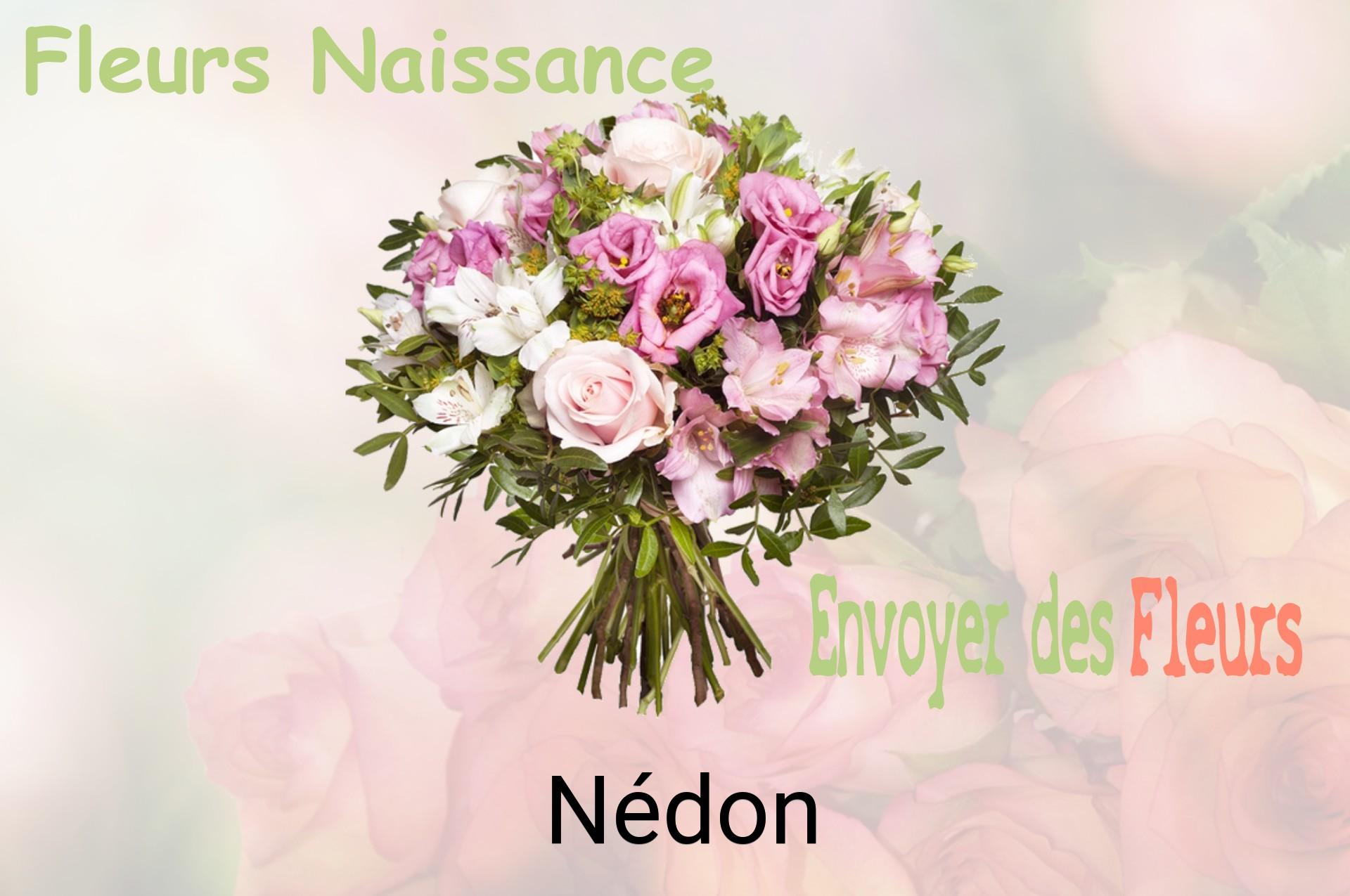 Bouquet de fleurs de naissance livré à Nédon